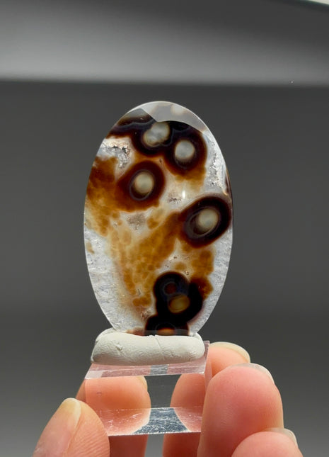 New Arrival ! Orbicular Agate