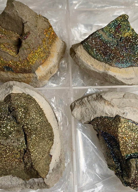 Rainbow Chalcopyrite Lot - 4 Pieces 🌈