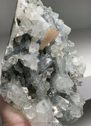 Very Lustrous Apophyllite with Stilbite