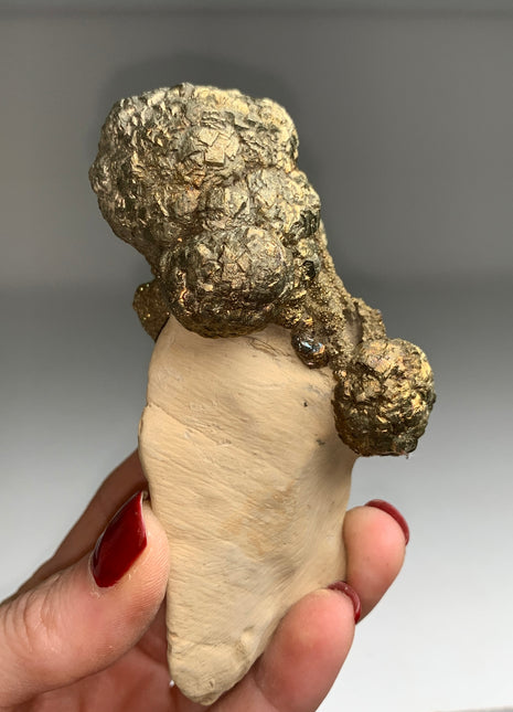Unusual ! Pyrite on Rock Matrix Specimen