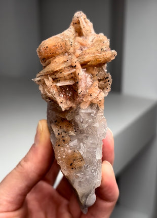 New find ! Pink Barite with Cumberland habit Quartz