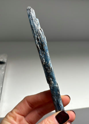 XL Size Blue Kyanite with Mica - From Zambia - 12 Pieces