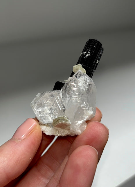 Black Tourmaline with Quartz
