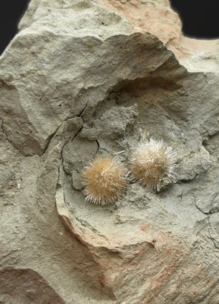 Bursting Sun Aragonite in Cluster - From Pantoja, Spain