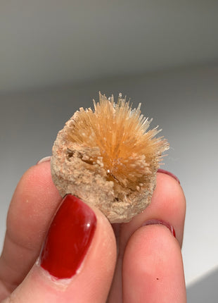 New Arrival ! Bursting Sun Aragonite Ball - From Pantoja, Spain
