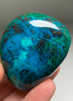 Bright Blue Chrysocolla with Red Cuprite and Green Malachite