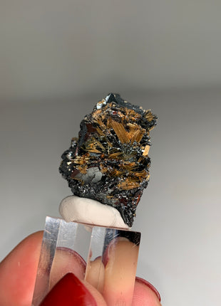 New Arrival !  Rutile with Shiny Hematite - From Brazil