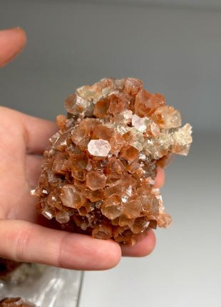 4 Piece Lot ! Aragonite Disco Ball Specimens