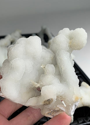 New ! White Coral Chalcedony Stalactite Lot - 6 pieces !