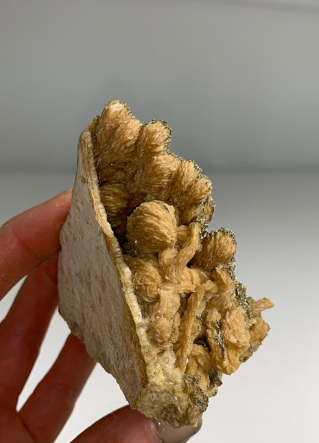 Wow ! Yellow Barite Flowers with Pyrite ๐ฅ