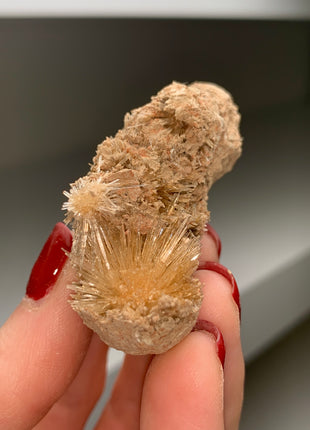Bursting Sun Aragonite in Cluster - From Pantoja, Spain