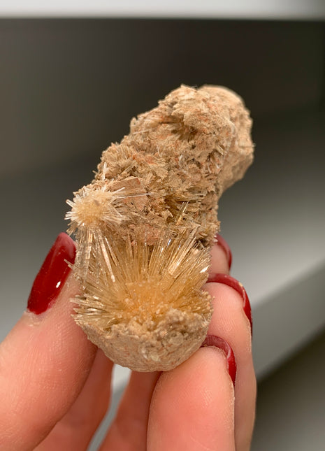 Bursting Sun Aragonite in Cluster - From Pantoja, Spain