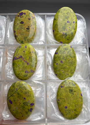 6 Piece Lot ! Atlantisite from Australia