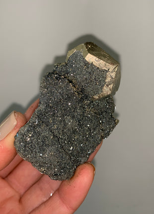 Pentadodecahedral Pyrite with Sparkly Hematite - Elba Island, Italy Special Price 💥