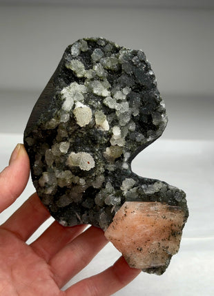 Druzy Black Chalcedony Geode with Pink Stilbite