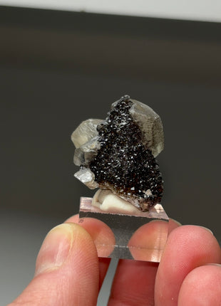 Black Knight Calcite