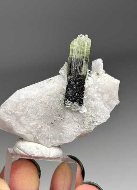 Green Cap Tourmaline with Feldspar