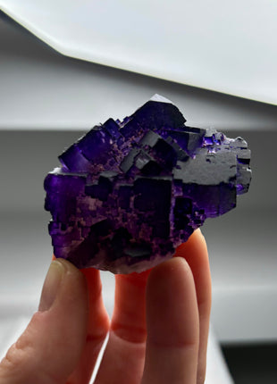 Purple Fluorite from Muzquiz, Mexico