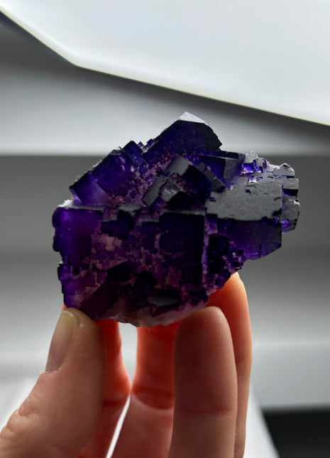 Purple Fluorite from Muzquiz, Mexico