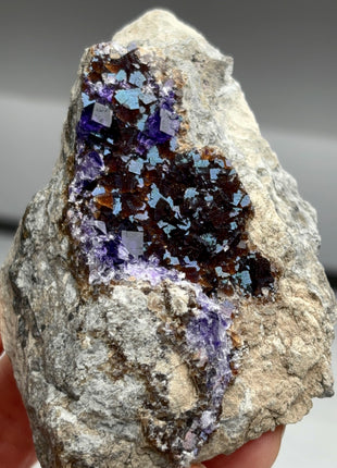 Bicolor Fluorite from New Jersey Collection # 395