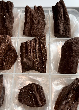 9 Piece Lot ! Rare Permineralized Fossil Wood with Quartz - From Germany