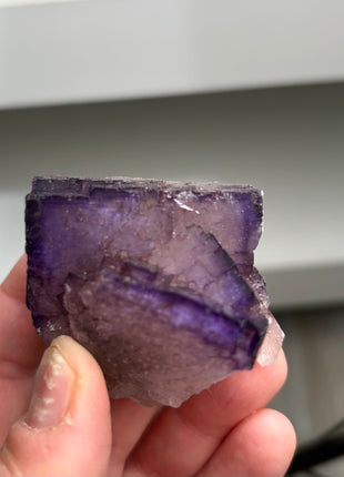 Blurple Fluorite from Muzquiz, Mexico