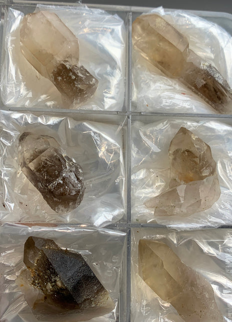 Smoky Scepter Quartz Lot - Hallelujah Junction, Nevada - 6 Pieces !