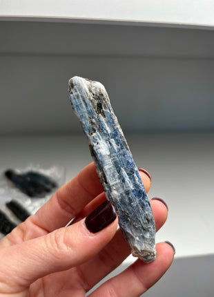 XL Size Blue Kyanite with Mica - From Zambia - 12 Pieces