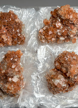 4 Piece Lot ! Aragonite Disco Ball Specimens