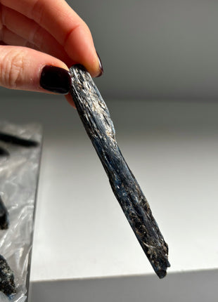 XL Size Blue Kyanite with Mica - From Zambia - 12 Pieces