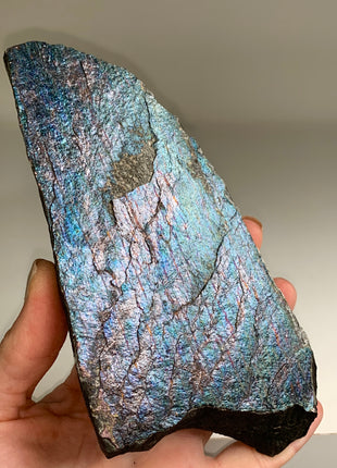 New ! Colorful Bornite Specimen 🌈 - From Lubin mine, Poland