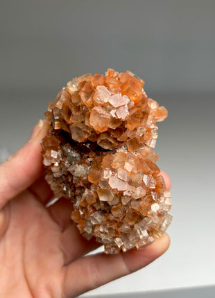 4 Piece Lot ! Aragonite Disco Ball Specimens