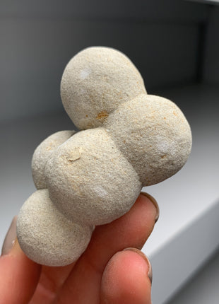 Unusual ! Spherical Calcite after Sandcalcite from Hungary