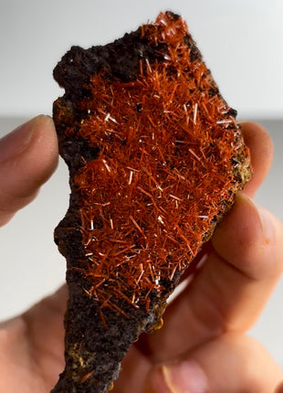 Red Crocoite Specimen PM0460