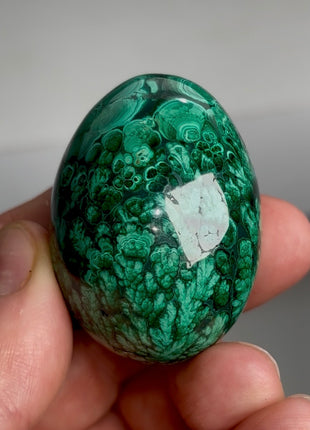 Green Malachite Egg from Congo PM1166