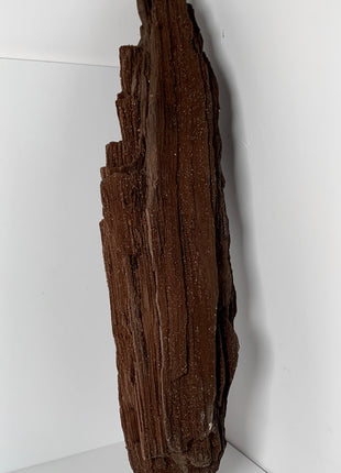 Our Finest ! Permineralized Fossil Wood with Quartz From Germany - 12+ kgs *