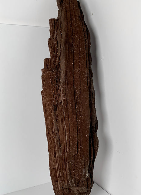 Our Finest ! Permineralized Fossil Wood with Quartz From Germany - 12+ kgs *