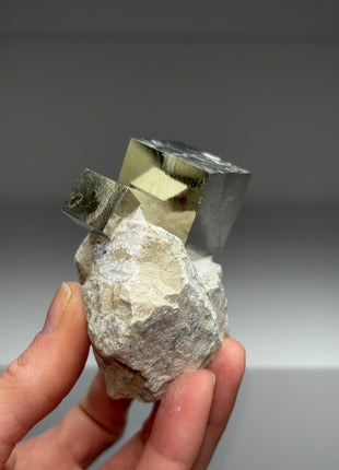 New ! Cubic Pyrite on Matrix from Navajun, Spain