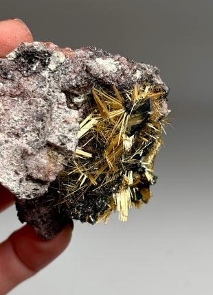 Golden Rutile with Hematite *