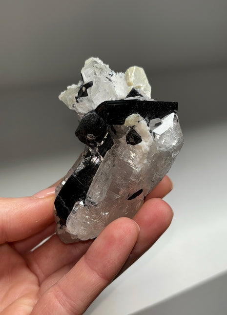 Black Tourmaline with Quartz