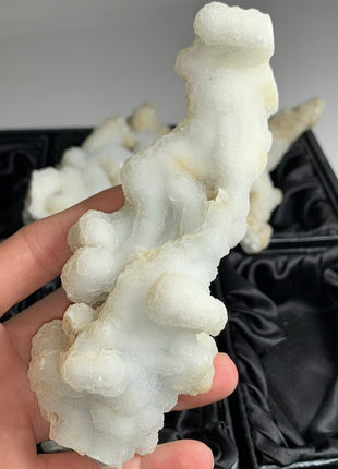 New ! White Coral Chalcedony Stalactite Lot - 4 pieces !