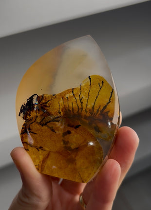 Dendrite in Quartz Collection PM1467