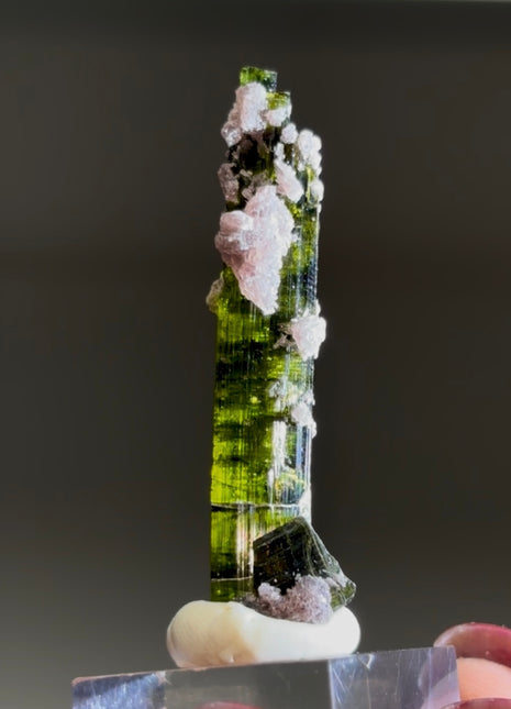 New ! Green Tourmaline with Lepidolite