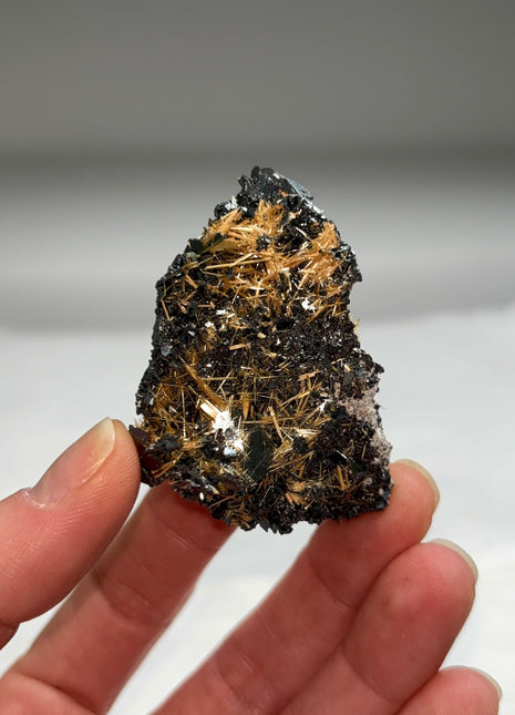 Golden Rutile with Metallic Hematite