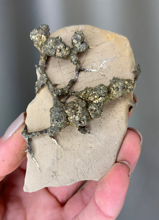 Wild ! Pyrite on Rock Matrix Specimen