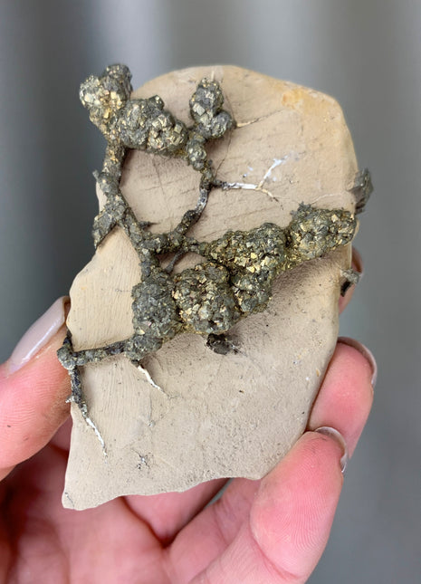 Wild ! Pyrite on Rock Matrix Specimen