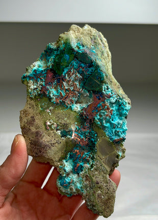 Stunning  ! Native Copper with Chrysocolla