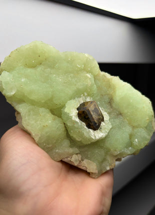 Andradite Garnet perching through Green Prehnite  Collection  # 286