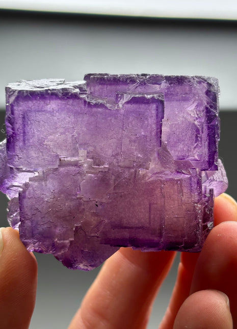 Purple Fluorite from Muzquiz, Mexico