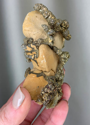 Wild ! Pyrite on Rock Matrix Specimen